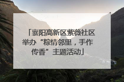 襄阳高新区紫薇社区举办“粽情邻里，手作传香”主题活动