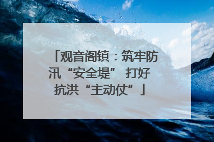 观音阁镇：筑牢防汛“安全堤” 打好抗洪“主动仗”