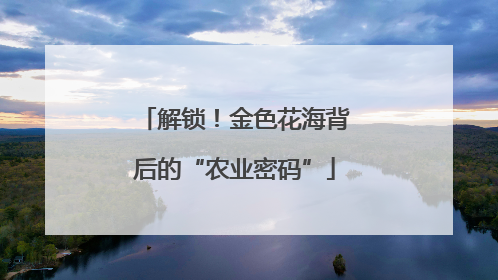 解锁！金色花海背后的“农业密码”