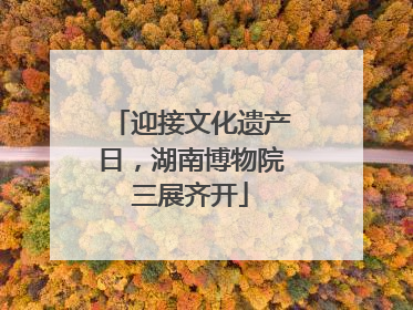 迎接文化遗产日，湖南博物院三展齐开