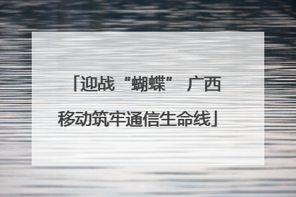 迎战“蝴蝶” 广西移动筑牢通信生命线