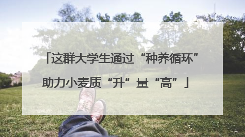 这群大学生通过“种养循环”助力小麦质“升”量“高”