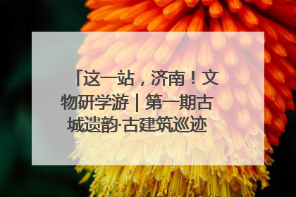 这一站，济南！文物研学游｜第一期古城遗韵·古建筑巡迹之旅圆满结束