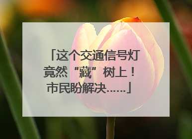 这个交通信号灯竟然“藏”树上！市民盼解决……