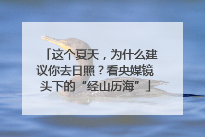 这个夏天，为什么建议你去日照？看央媒镜头下的“经山历海”