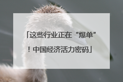 这些行业正在“爆单”！中国经济活力密码