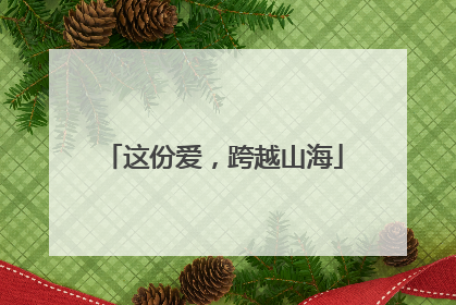 这份爱，跨越山海