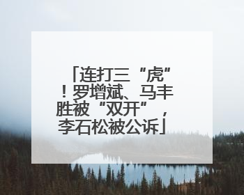 连打三“虎”！罗增斌、马丰胜被“双开”，李石松被公诉
