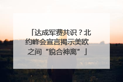 达成军费共识？北约峰会宣言揭示美欧之间“貌合神离”