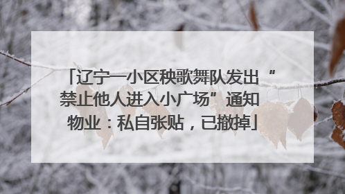 辽宁一小区秧歌舞队发出“禁止他人进入小广场”通知 物业：私自张贴，已撤掉