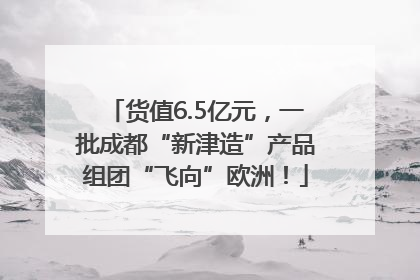 货值6.5亿元，一批成都“新津造”产品组团“飞向”欧洲！