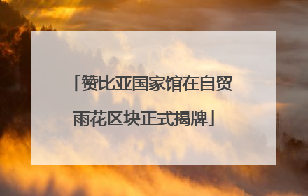 赞比亚国家馆在自贸雨花区块正式揭牌