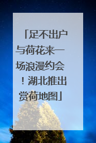 足不出户与荷花来一场浪漫约会！湖北推出赏荷地图