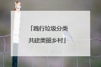 践行垃圾分类 共建美丽乡村