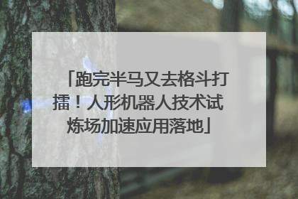 跑完半马又去格斗打擂！人形机器人技术试炼场加速应用落地
