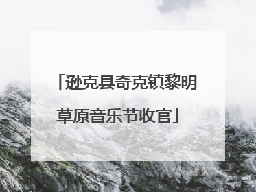 逊克县奇克镇黎明草原音乐节收官