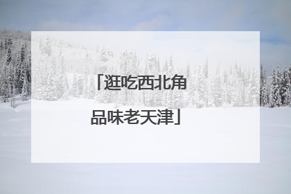 逛吃西北角 品味老天津