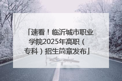 速看！临沂城市职业学院2025年高职（专科）招生简章发布