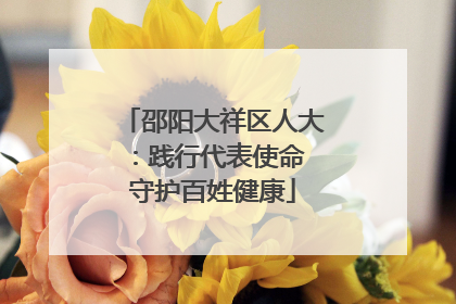 邵阳大祥区人大：践行代表使命 守护百姓健康