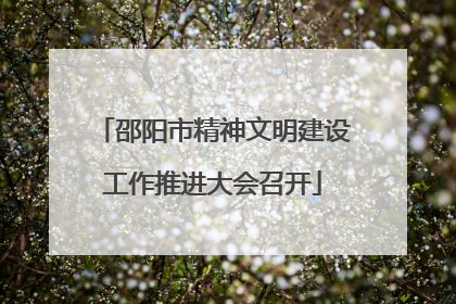 邵阳市精神文明建设工作推进大会召开