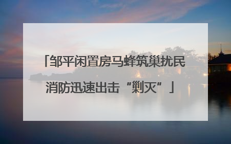 邹平闲置房马蜂筑巢扰民 消防迅速出击“剿灭”