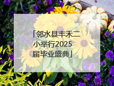 邻水县丰禾二小举行2025届毕业盛典