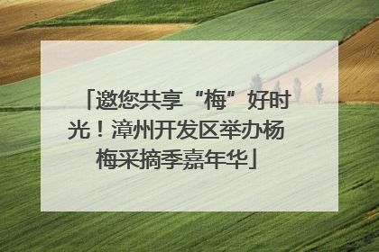 邀您共享“梅”好时光！漳州开发区举办杨梅采摘季嘉年华