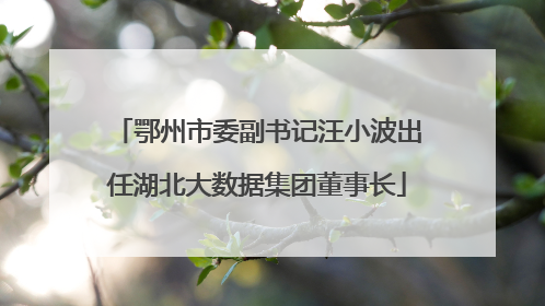鄂州市委副书记汪小波出任湖北大数据集团董事长