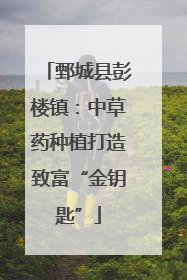 鄄城县彭楼镇：中草药种植打造致富“金钥匙”