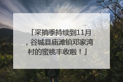 采摘季持续到11月，谷城县庙滩镇邓家湾村的蜜桃丰收啦！