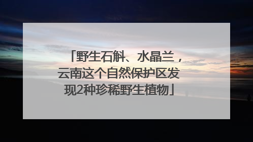 野生石斛、水晶兰，云南这个自然保护区发现2种珍稀野生植物