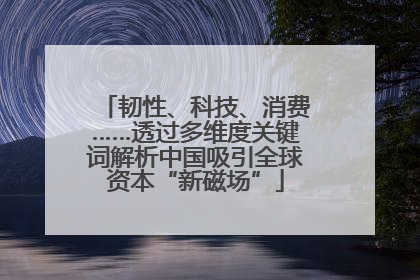韧性、科技、消费……透过多维度关键词解析中国吸引全球资本“新磁场”