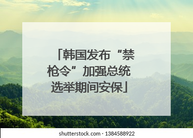 韩国发布“禁枪令”加强总统选举期间安保
