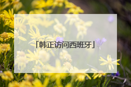 韩正访问西班牙