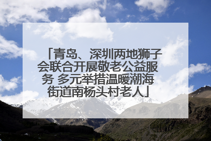 青岛、深圳两地狮子会联合开展敬老公益服务 多元举措温暖潮海街道南杨头村老人