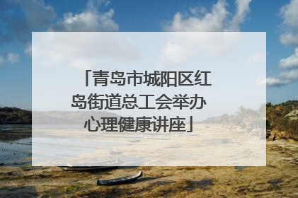 青岛市城阳区红岛街道总工会举办心理健康讲座