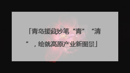 青岛援藏妙笔“青”“清”，绘就高原产业新图景