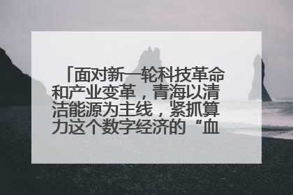 面对新一轮科技革命和产业变革，青海以清洁能源为主线，紧抓算力这个数字经济的“血液”、科技主权的“筹码”、产业升级的“杠杆”、绿色转型的“支点”，勇于撬动国家“双碳”战略、“东数西算”工程重大发展新机遇