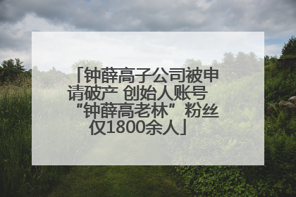 钟薛高子公司被申请破产 创始人账号“钟薛高老林”粉丝仅1800余人