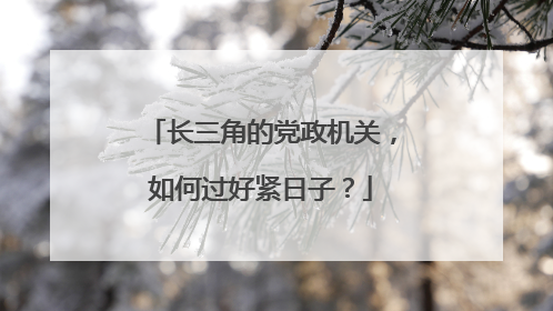 长三角的党政机关，如何过好紧日子？