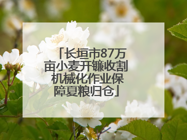 长垣市87万亩小麦开镰收割 机械化作业保障夏粮归仓