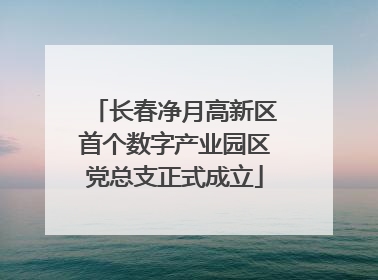 长春净月高新区首个数字产业园区党总支正式成立