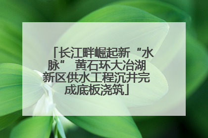 长江畔崛起新“水脉” 黄石环大冶湖新区供水工程沉井完成底板浇筑