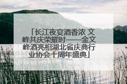 长江夜宴酒香浓 文峰共庆荣耀时——金文峰酒亮相湖北省庆典行业协会十周年盛典