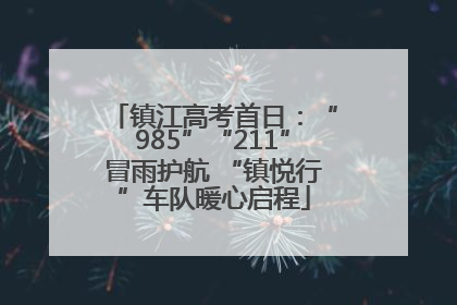 镇江高考首日：“985”“211”冒雨护航 “镇悦行”车队暖心启程