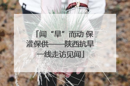 闻“旱”而动 保灌保供——陕西抗旱一线走访见闻