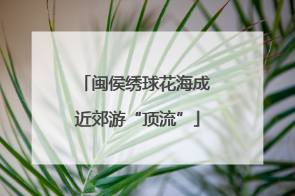 闽侯绣球花海成近郊游“顶流”