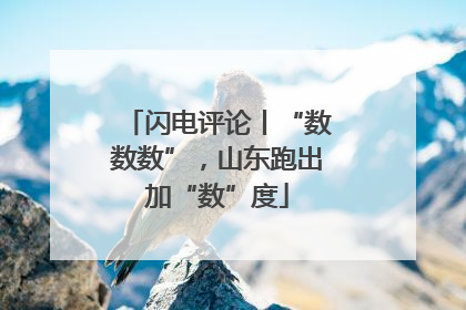 闪电评论丨“数数数”，山东跑出加“数”度
