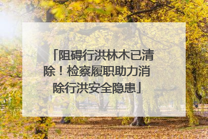 阻碍行洪林木已清除！检察履职助力消除行洪安全隐患