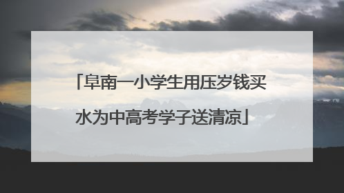 阜南一小学生用压岁钱买水为中高考学子送清凉